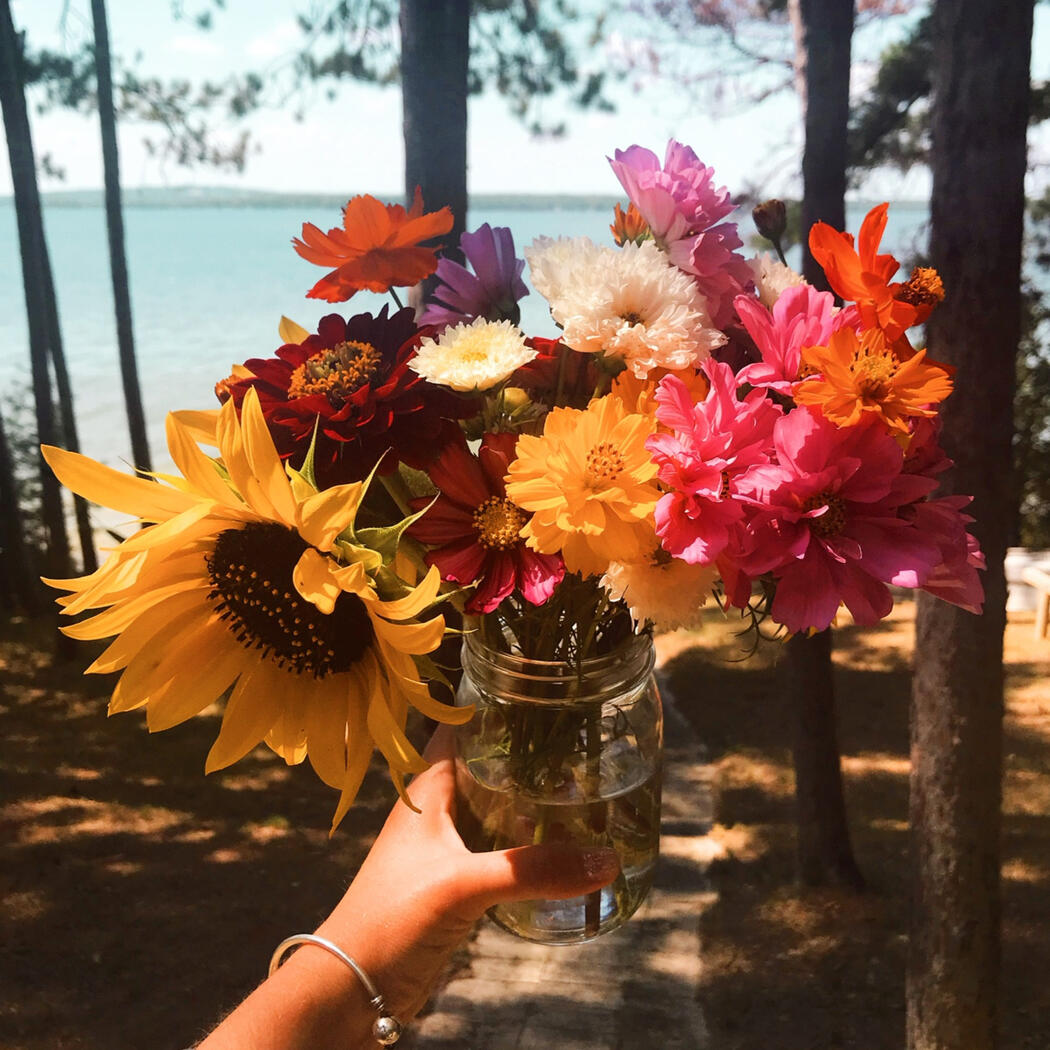 cut flowers in kalamazoo mi