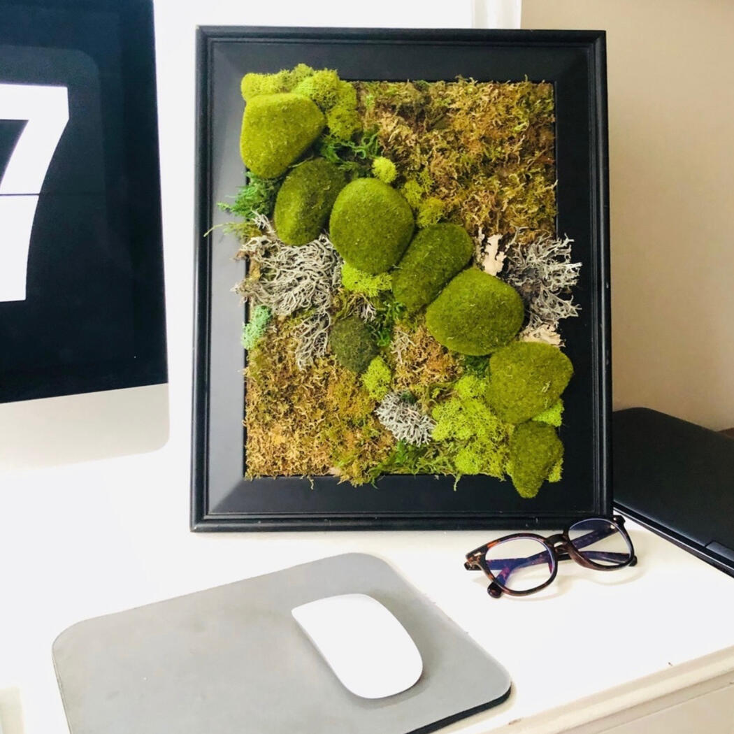 small moss art in kalamazoo