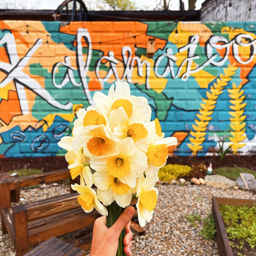 cut flowers in kalamazoo