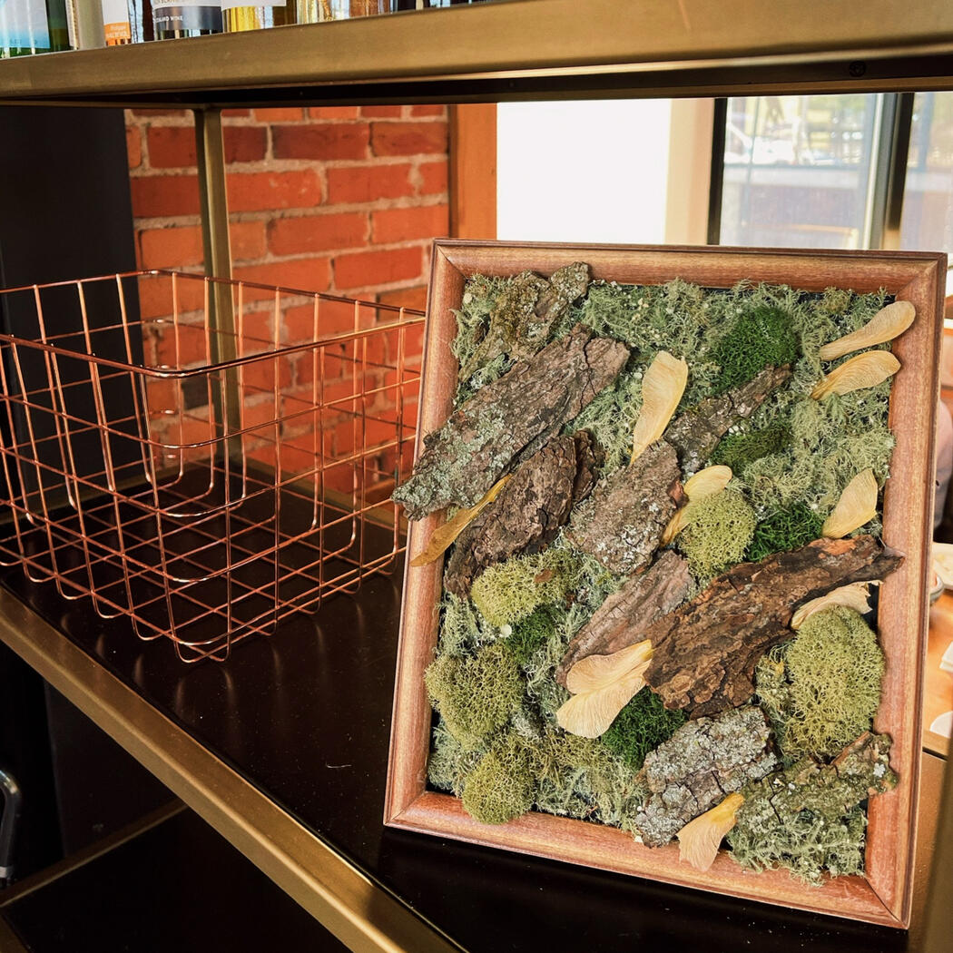 moss art kalamazoo mi