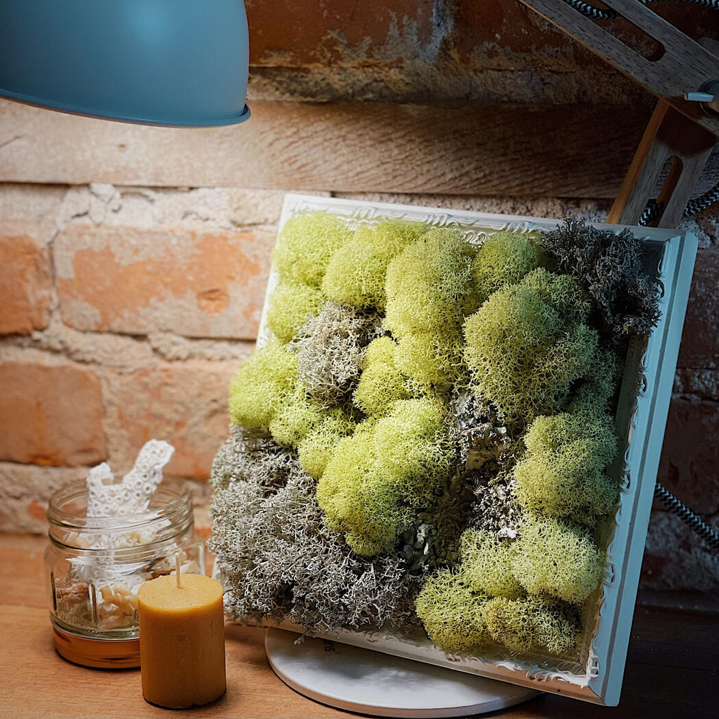 medium moss art in kalamazoo